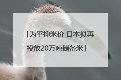 为平抑米价 日本拟再投放20万吨储备米