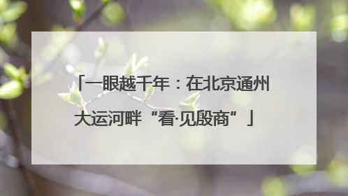 一眼越千年：在北京通州大运河畔“看·见殷商”