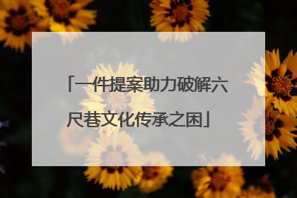 一件提案助力破解六尺巷文化传承之困
