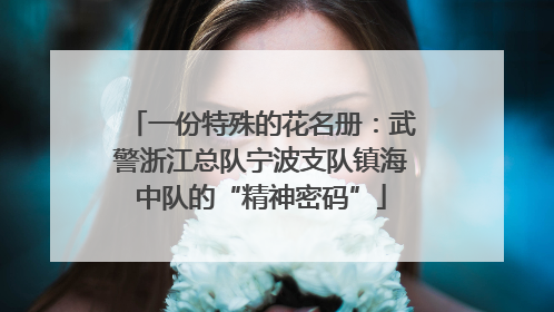 一份特殊的花名册：武警浙江总队宁波支队镇海中队的“精神密码”
