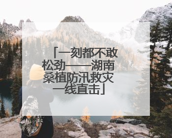 一刻都不敢松劲——湖南桑植防汛救灾一线直击