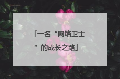 一名“网络卫士”的成长之路