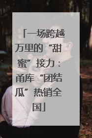 一场跨越万里的“甜蜜”接力：甬库“团结瓜”热销全国