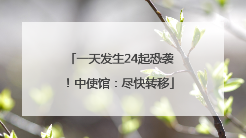 一天发生24起恐袭！中使馆：尽快转移