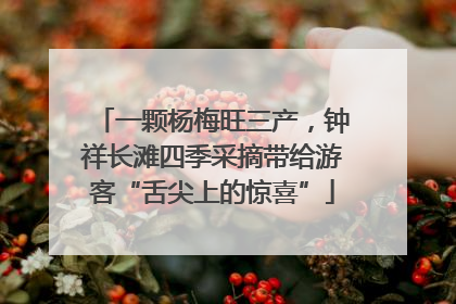 一颗杨梅旺三产，钟祥长滩四季采摘带给游客“舌尖上的惊喜”