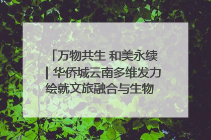 万物共生 和美永续｜华侨城云南多维发力 绘就文旅融合与生物多样性保护新图景