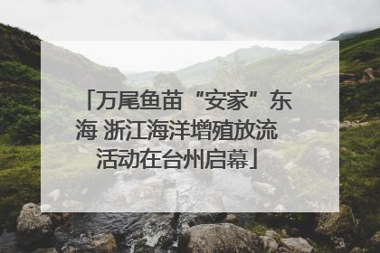 万尾鱼苗“安家”东海 浙江海洋增殖放流活动在台州启幕