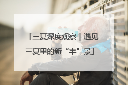 三夏深度观察｜遇见三夏里的新“丰”景