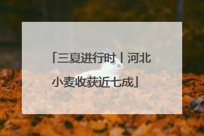 三夏进行时丨河北小麦收获近七成