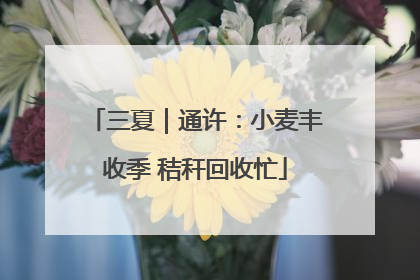 三夏｜通许：小麦丰收季 秸秆回收忙