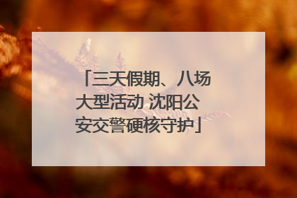 三天假期、八场大型活动 沈阳公安交警硬核守护