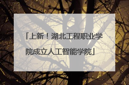 上新！湖北工程职业学院成立人工智能学院