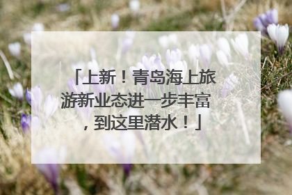 上新！青岛海上旅游新业态进一步丰富，到这里潜水！