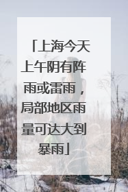 上海今天上午阴有阵雨或雷雨，局部地区雨量可达大到暴雨