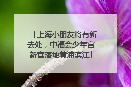 上海小朋友将有新去处，中福会少年宫新宫落地黄浦滨江