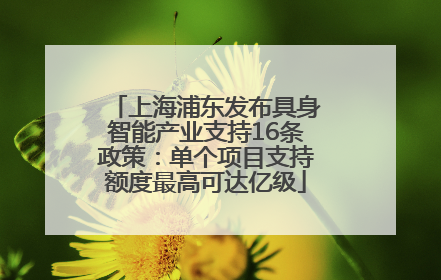 上海浦东发布具身智能产业支持16条政策：单个项目支持额度最高可达亿级