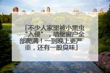 不少人家里被小黑虫“入侵”，墙壁窗户全部爬满！一到晚上更严重，还有一股臭味