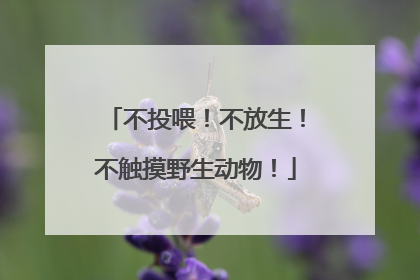 不投喂！不放生！不触摸野生动物！