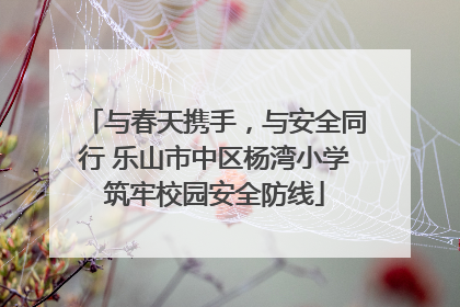 与春天携手，与安全同行 乐山市中区杨湾小学筑牢校园安全防线