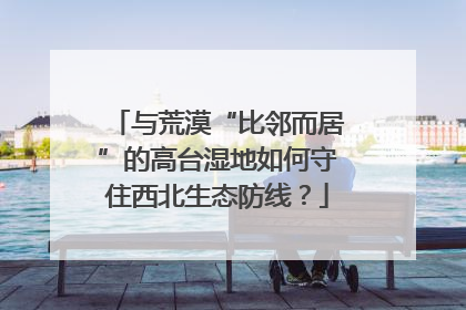 与荒漠“比邻而居”的高台湿地如何守住西北生态防线？