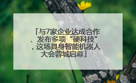 与7家企业达成合作、发布多项“硬科技”，这场具身智能机器人大会蓉城启幕