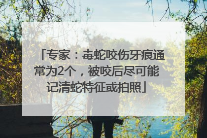 专家：毒蛇咬伤牙痕通常为2个，被咬后尽可能记清蛇特征或拍照
