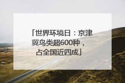 世界环境日：京津冀鸟类超600种，占全国近四成