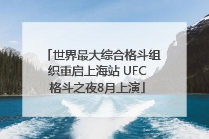 世界最大综合格斗组织重启上海站 UFC格斗之夜8月上演