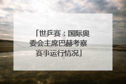 世乒赛：国际奥委会主席巴赫考察赛事运行情况