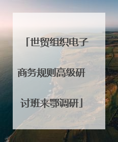 世贸组织电子商务规则高级研讨班来鄂调研