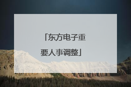 东方电子重要人事调整