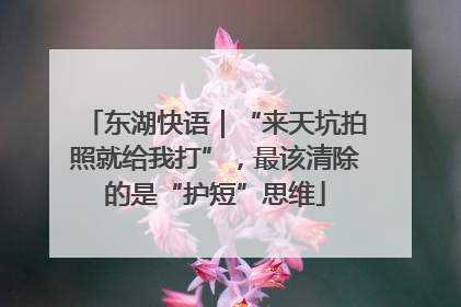 东湖快语｜“来天坑拍照就给我打”，最该清除的是“护短”思维
