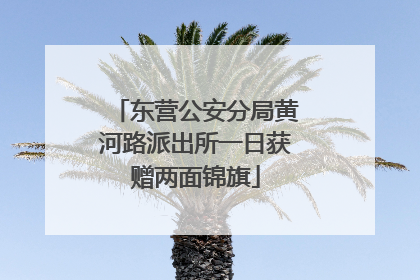东营公安分局黄河路派出所一日获赠两面锦旗