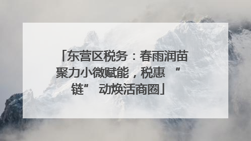 东营区税务：春雨润苗聚力小微赋能，税惠 “链” 动焕活商圈