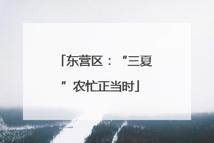 东营区：“三夏”农忙正当时