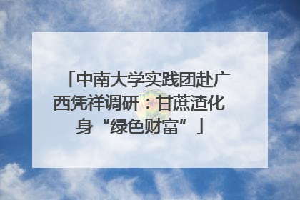 中南大学实践团赴广西凭祥调研：甘蔗渣化身“绿色财富”