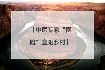 中医专家“摆摊”宜阳乡村
