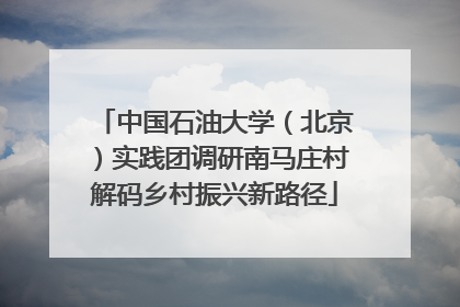 中国石油大学（北京）实践团调研南马庄村解码乡村振兴新路径