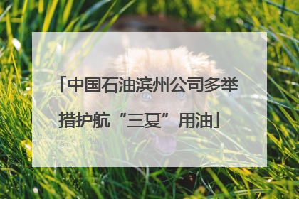 中国石油滨州公司多举措护航“三夏”用油