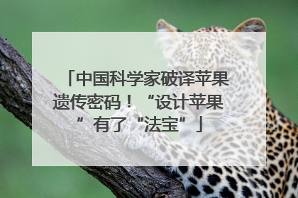 中国科学家破译苹果遗传密码！“设计苹果”有了“法宝”