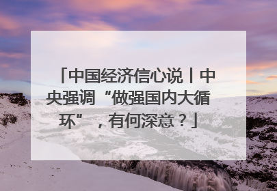 中国经济信心说丨中央强调“做强国内大循环”，有何深意？