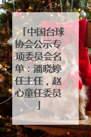 中国台球协会公示专项委员会名单：潘晓婷任主任，赵心童任委员