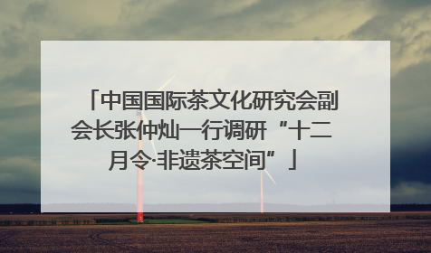 中国国际茶文化研究会副会长张仲灿一行调研“十二月令·非遗茶空间”
