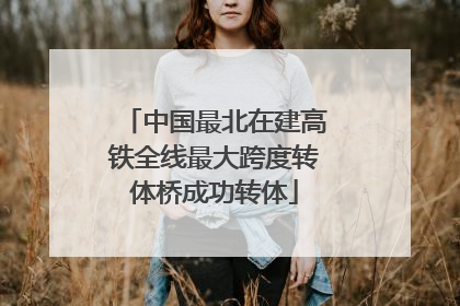 中国最北在建高铁全线最大跨度转体桥成功转体