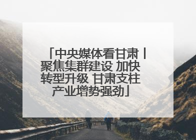 中央媒体看甘肃丨聚焦集群建设 加快转型升级 甘肃支柱产业增势强劲
