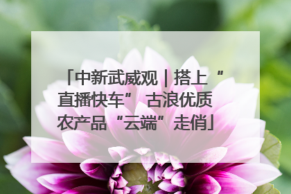 中新武威观｜搭上“直播快车” 古浪优质农产品“云端”走俏