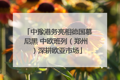 中豫港务亮相德国慕尼黑 中欧班列（郑州）深耕欧亚市场