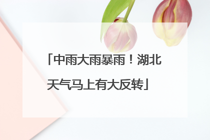 中雨大雨暴雨！湖北天气马上有大反转