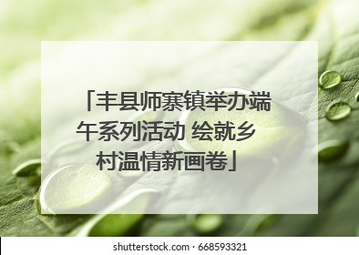 丰县师寨镇举办端午系列活动 绘就乡村温情新画卷