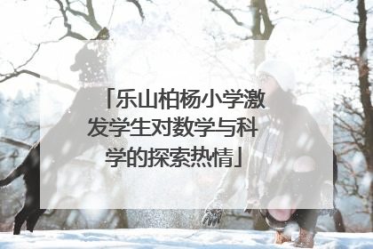 乐山柏杨小学激发学生对数学与科学的探索热情
